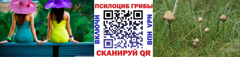 Купить  Истра  Псилоцибиновые грибы мухоморы 